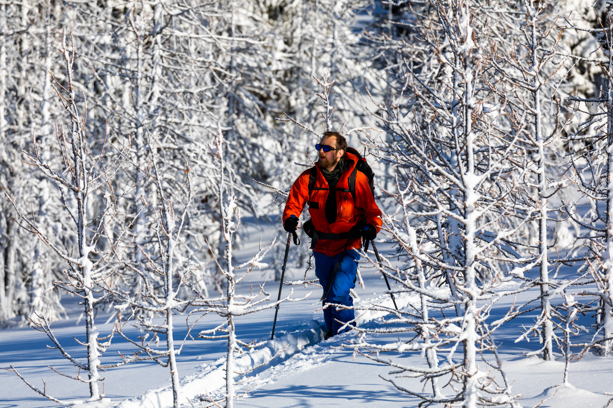 Read more about the article Experience the Perfect Ski Touring Glove Liners