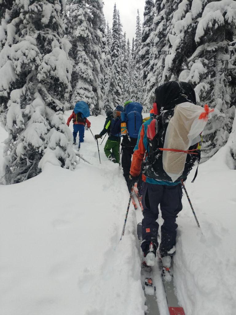 Line of backcountry skiers touring uphill to camp with full gear backcountry skiing gear